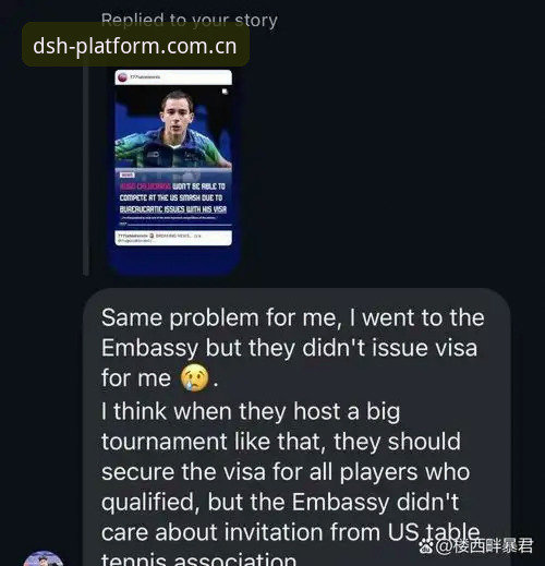 世界杯观赛签证问题深度解析教程——从鼎盛官网平台视角看赛事出行挑战